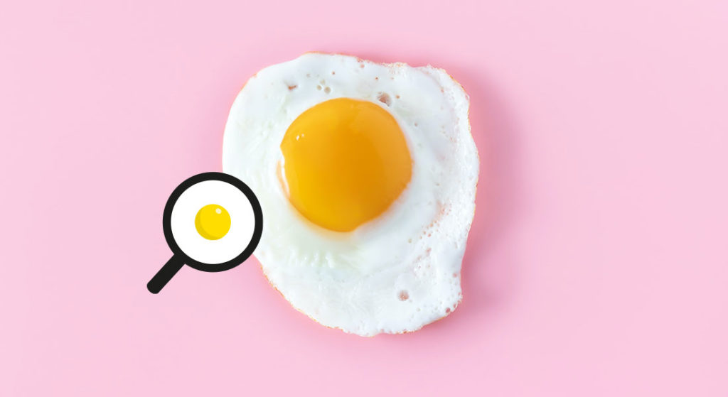 Roliga fakta Svenska Ägg