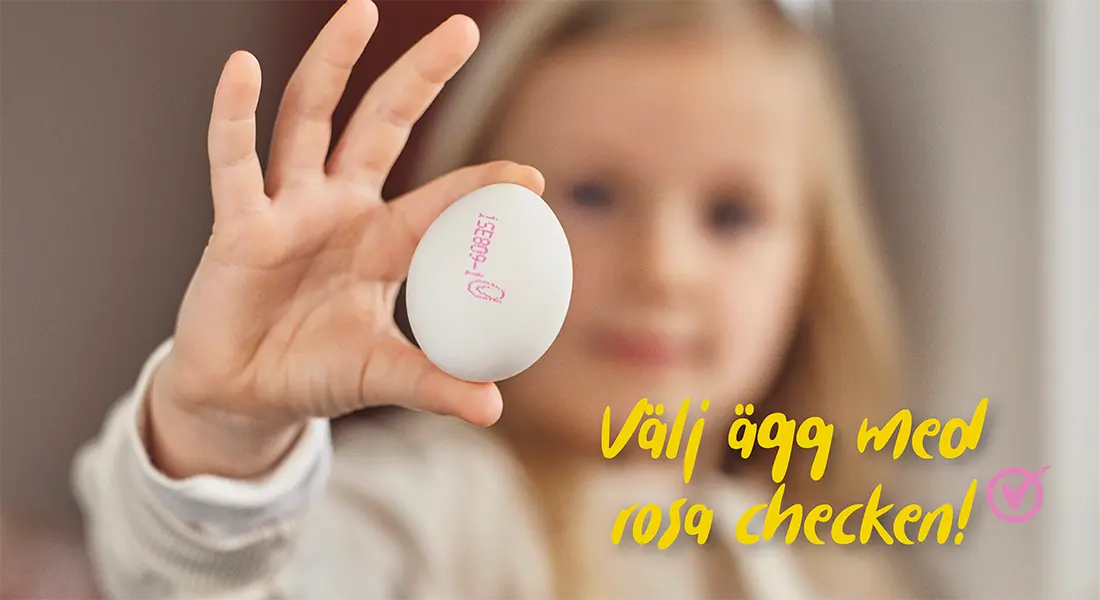 Välj ägg med rosa checken